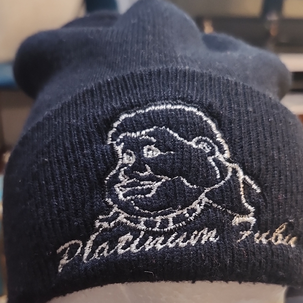Vtg. 90's Fat Albert Platinum Fubu Navy Beanie Skull Cap Rare! Hey Hey Hey